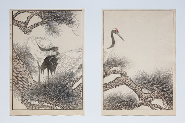 KEINEN Imao - Fleurs et oiseaux