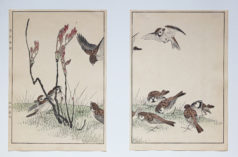 KEINEN Imao - Fleurs et oiseaux