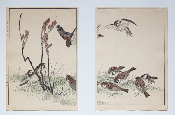 KEINEN Imao - Fleurs et oiseaux