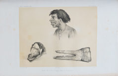 pole sud oceanie voyage de dumont d'urville