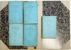 Alternative view of DUMONT D’URVILLE Jules - Voyage au pôle Sud et dans l’Océanie