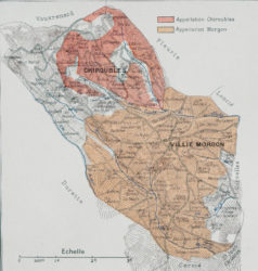 Carte vinicole ancienne de Bourgogne Le Beaujolais