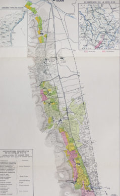 Carte vinicole ancienne - La côte de nuits