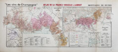 Carte ancienne des vins - Vinicole - Champagne